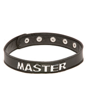 Load image into Gallery viewer, Xplay Talk Dirty To Me Collar - Master