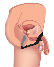 Load image into Gallery viewer, Prostatic Play Excursion Silicone Triple Stim Anal Plug W-cock &amp; Ball Ring